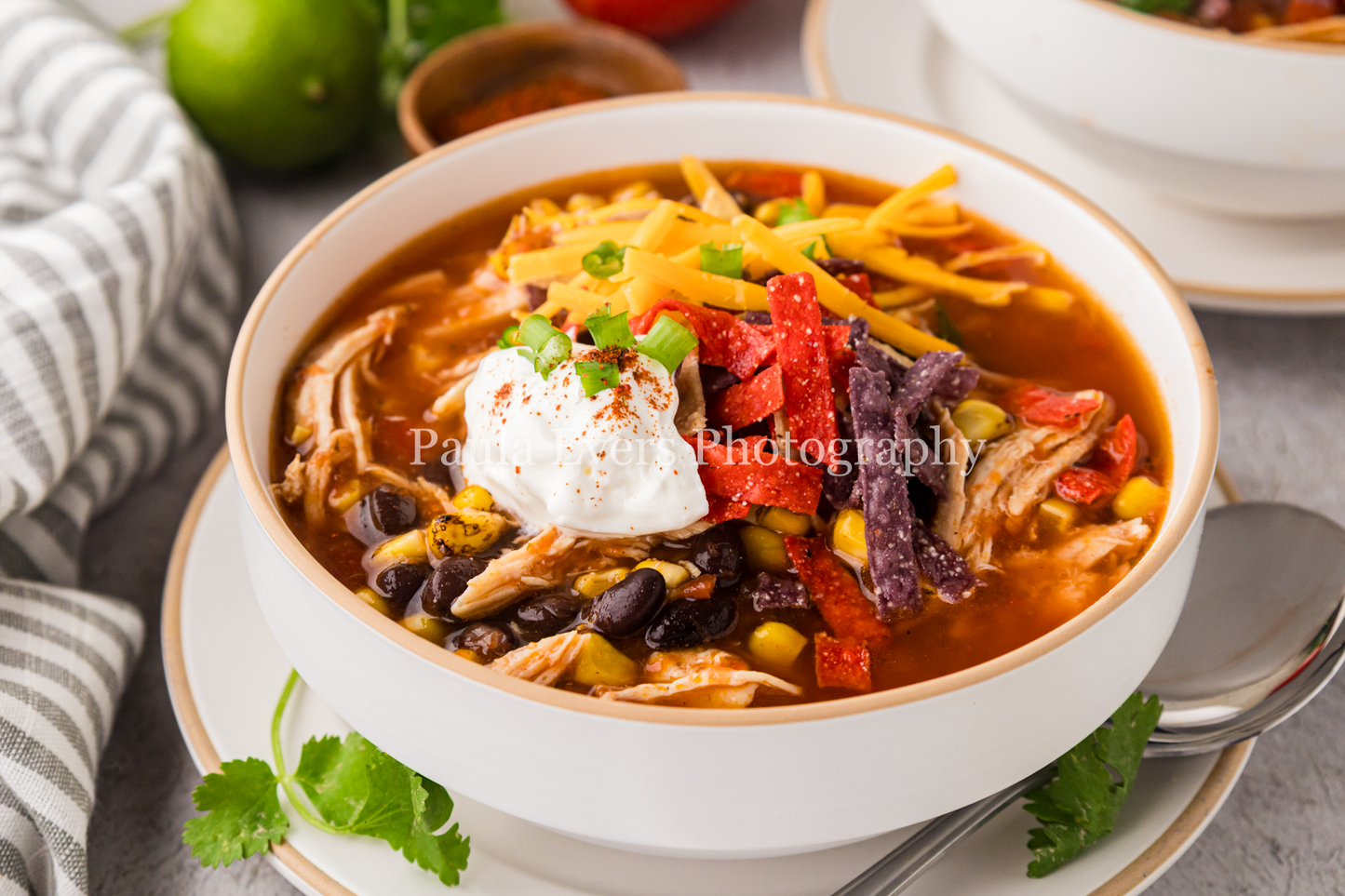 Chicken Tortilla Soup