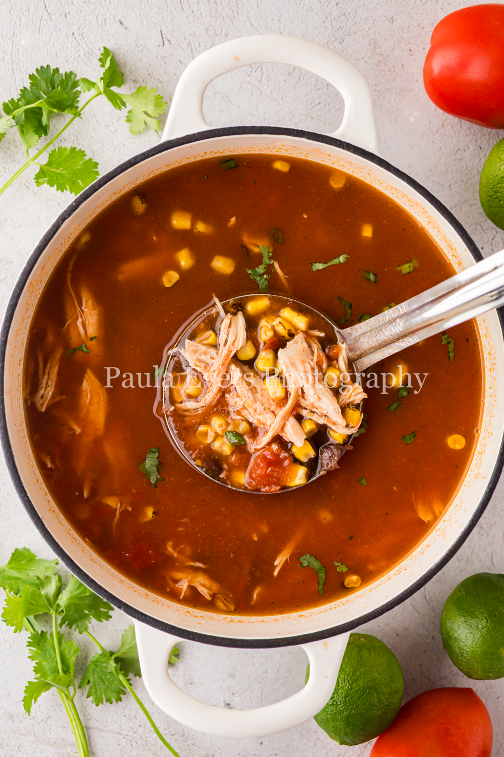 Chicken Tortilla Soup